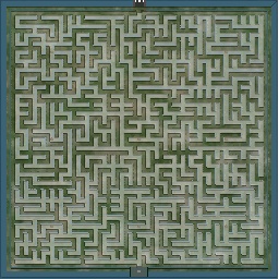 Maze